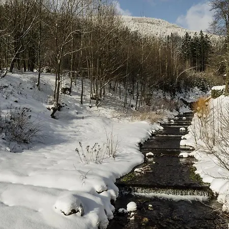 Desny Kout Alpesi faház *